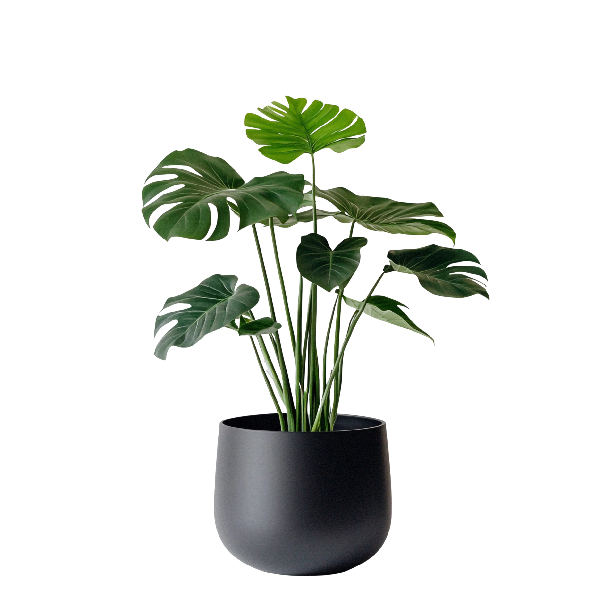 Kitchen Planter